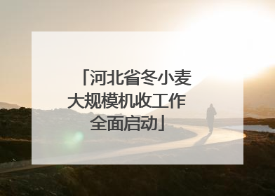 河北省冬小麦大规模机收工作全面启动